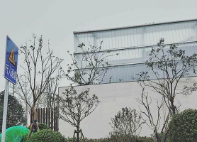 河南洛阳建业科技园售楼部营销中心U型玻璃项目